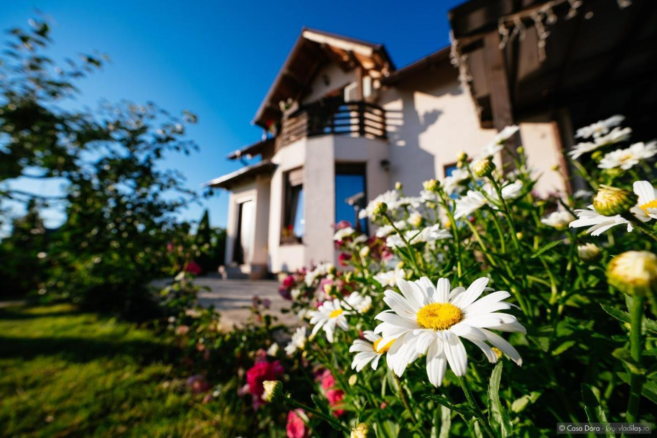 Hotel Casa Dora Suczawa Zewnętrze zdjęcie