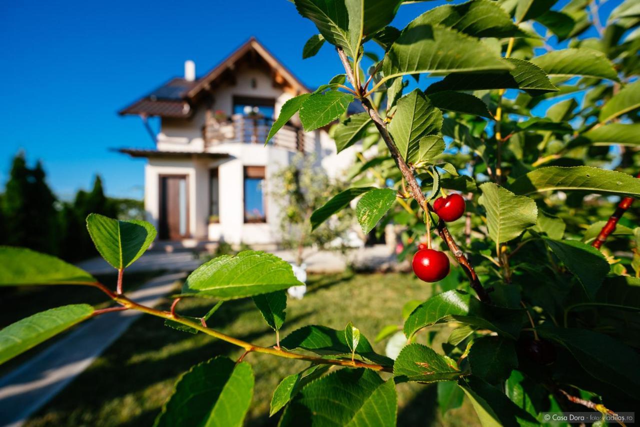 Hotel Casa Dora Suczawa Zewnętrze zdjęcie