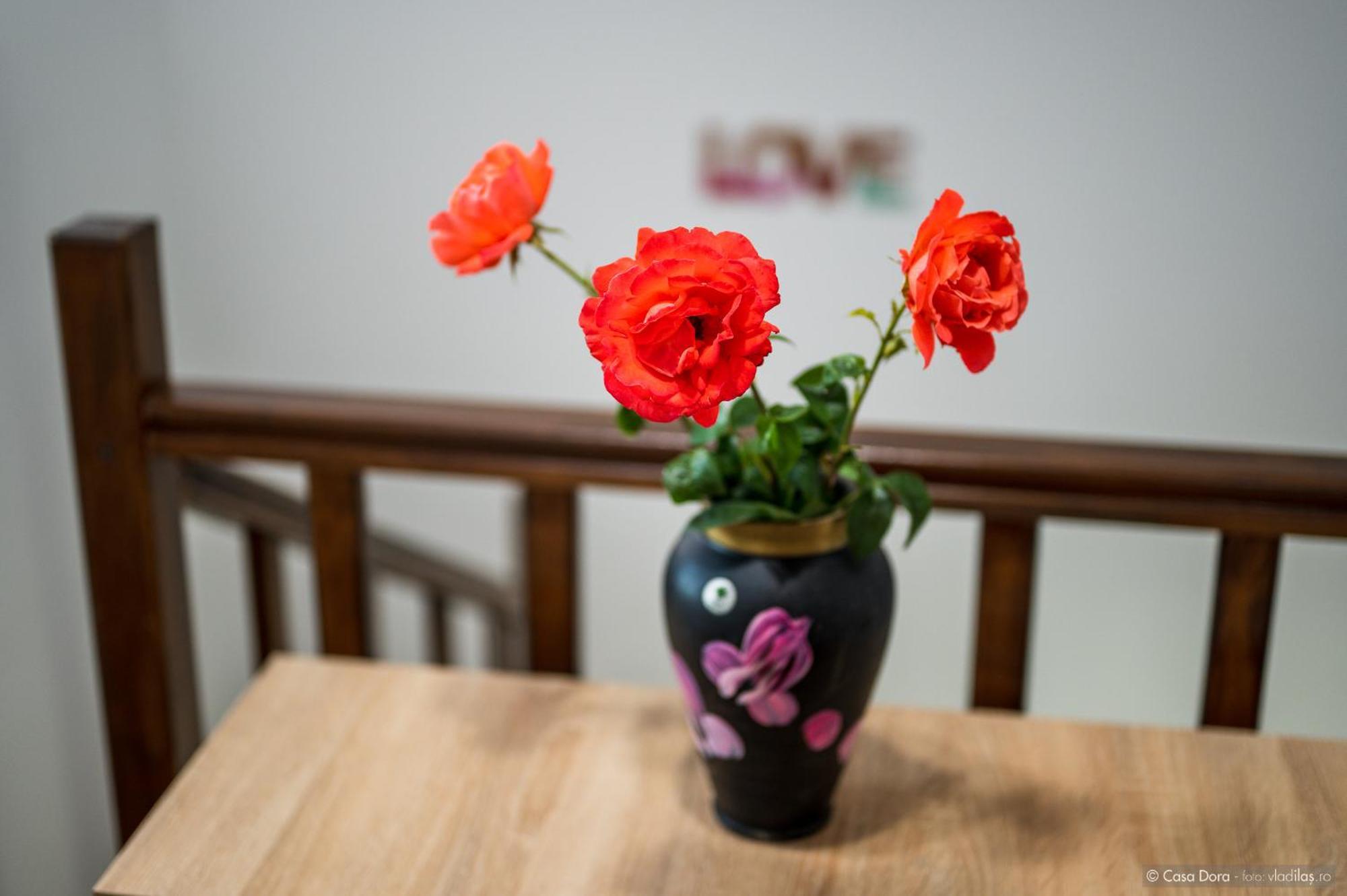 Hotel Casa Dora Suczawa Zewnętrze zdjęcie
