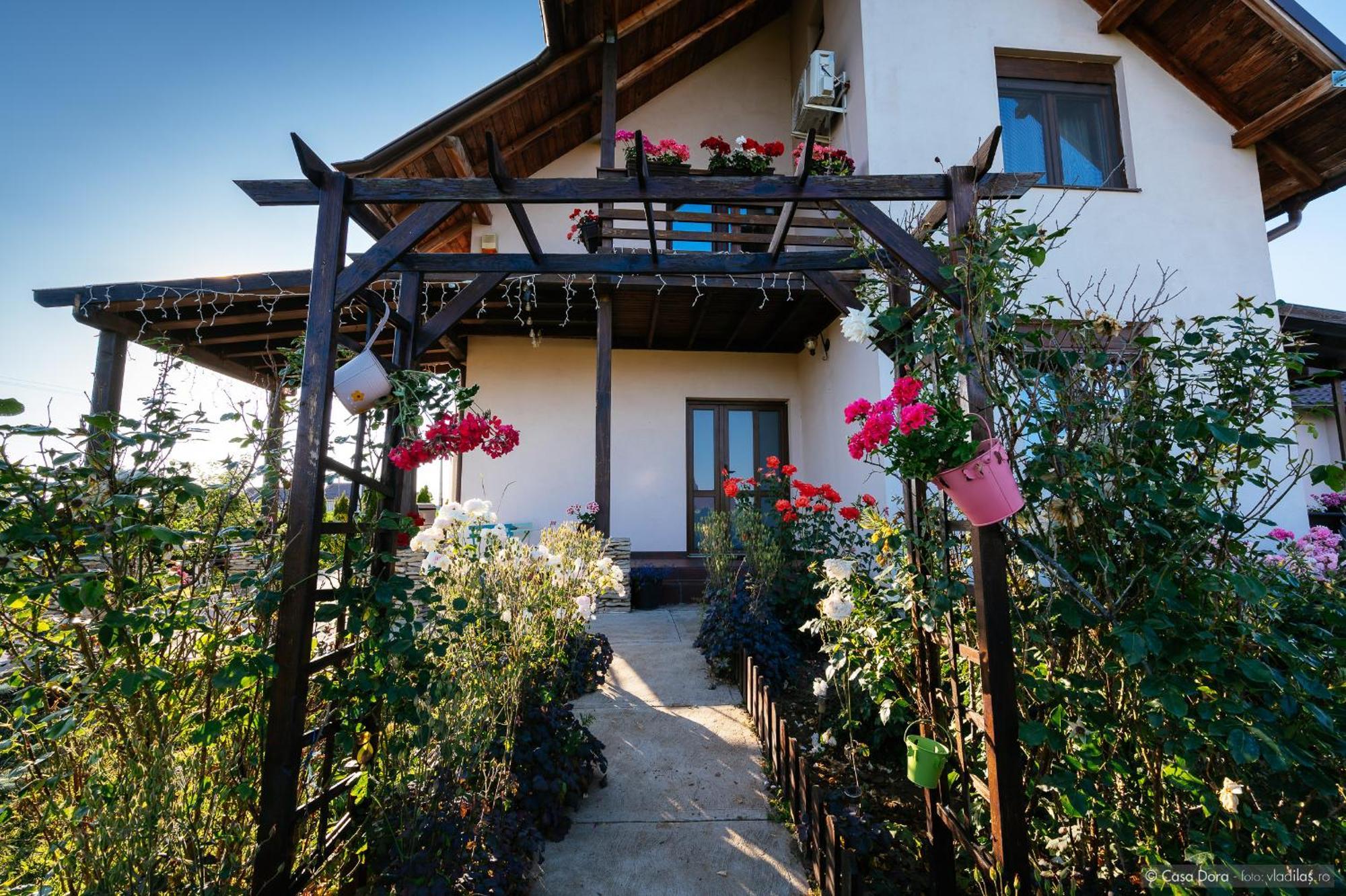Hotel Casa Dora Suczawa Zewnętrze zdjęcie